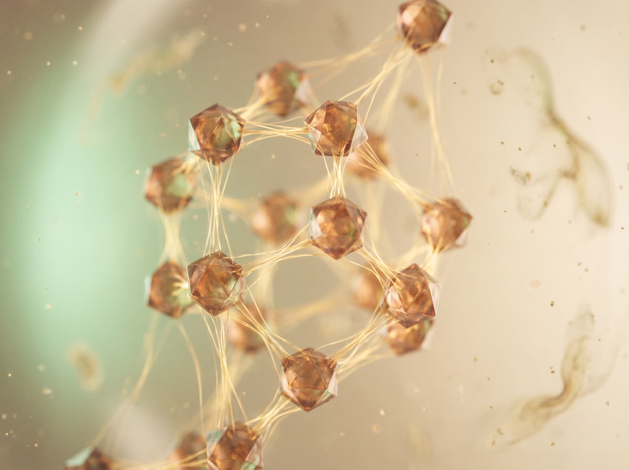Crystalline molecular network rendered in warm light